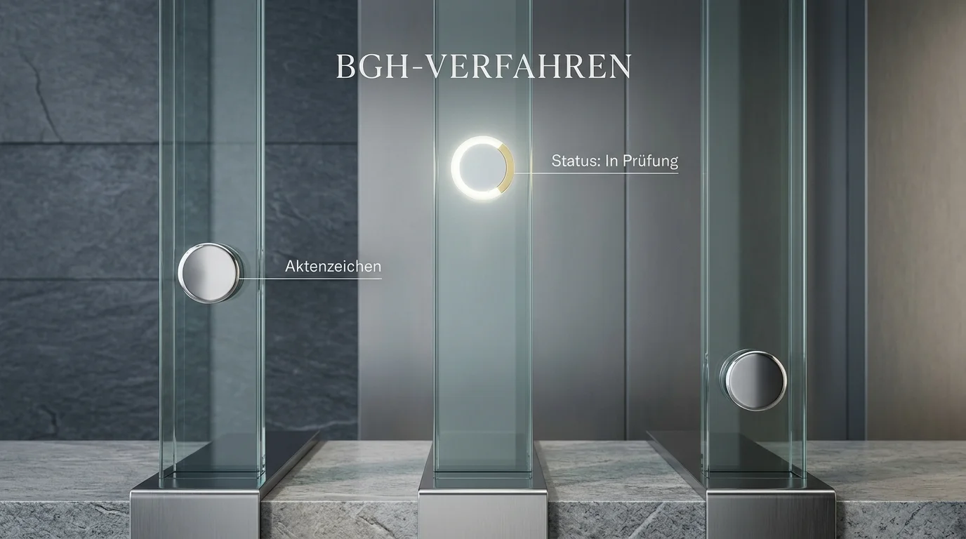 Schematische Übersicht der drei BGH-Aktenzeichen zur Rückforderung mit jeweiligem Verfahrensstand und Spielform